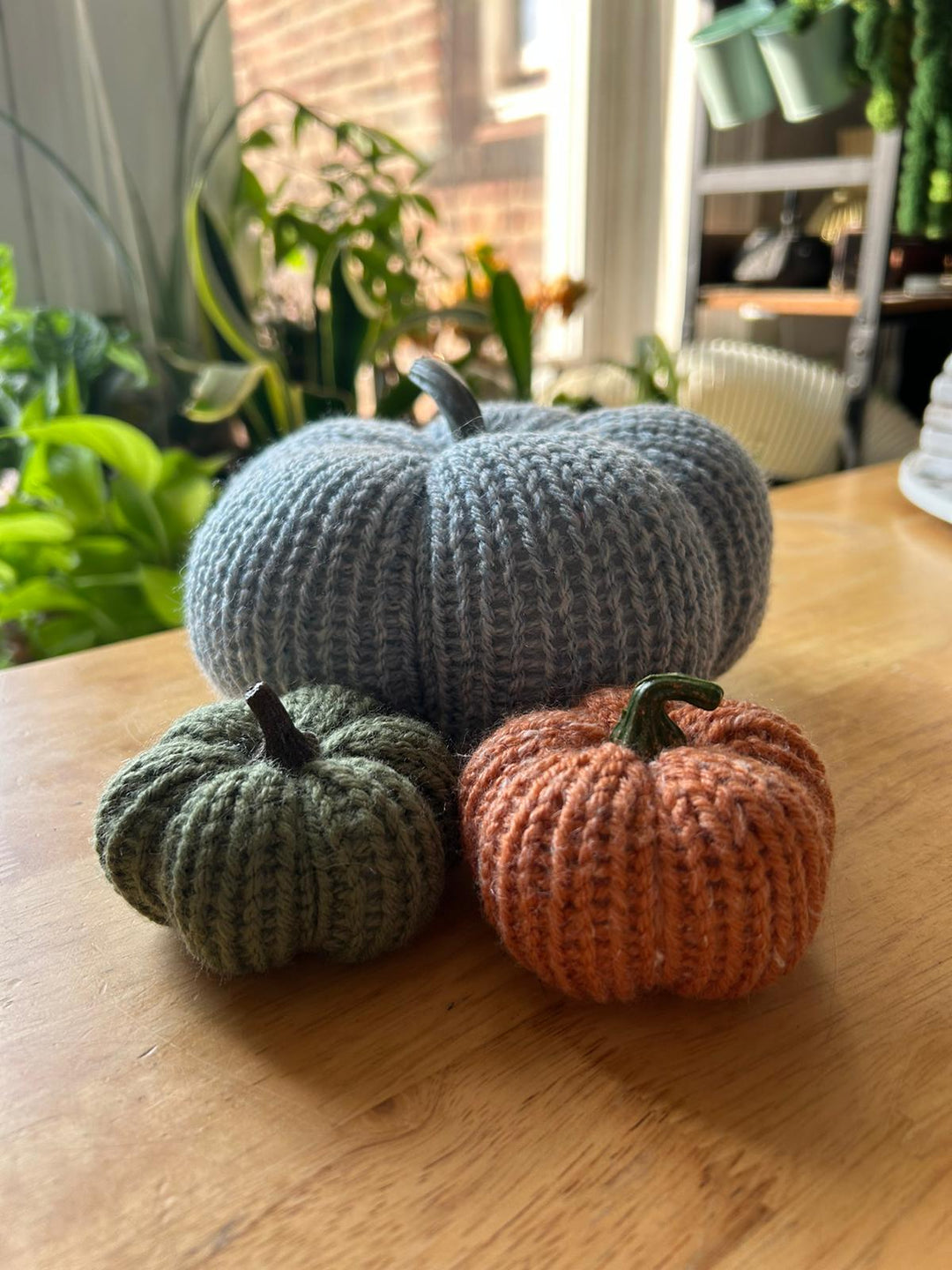 COZY HARVEST PUMPKINS