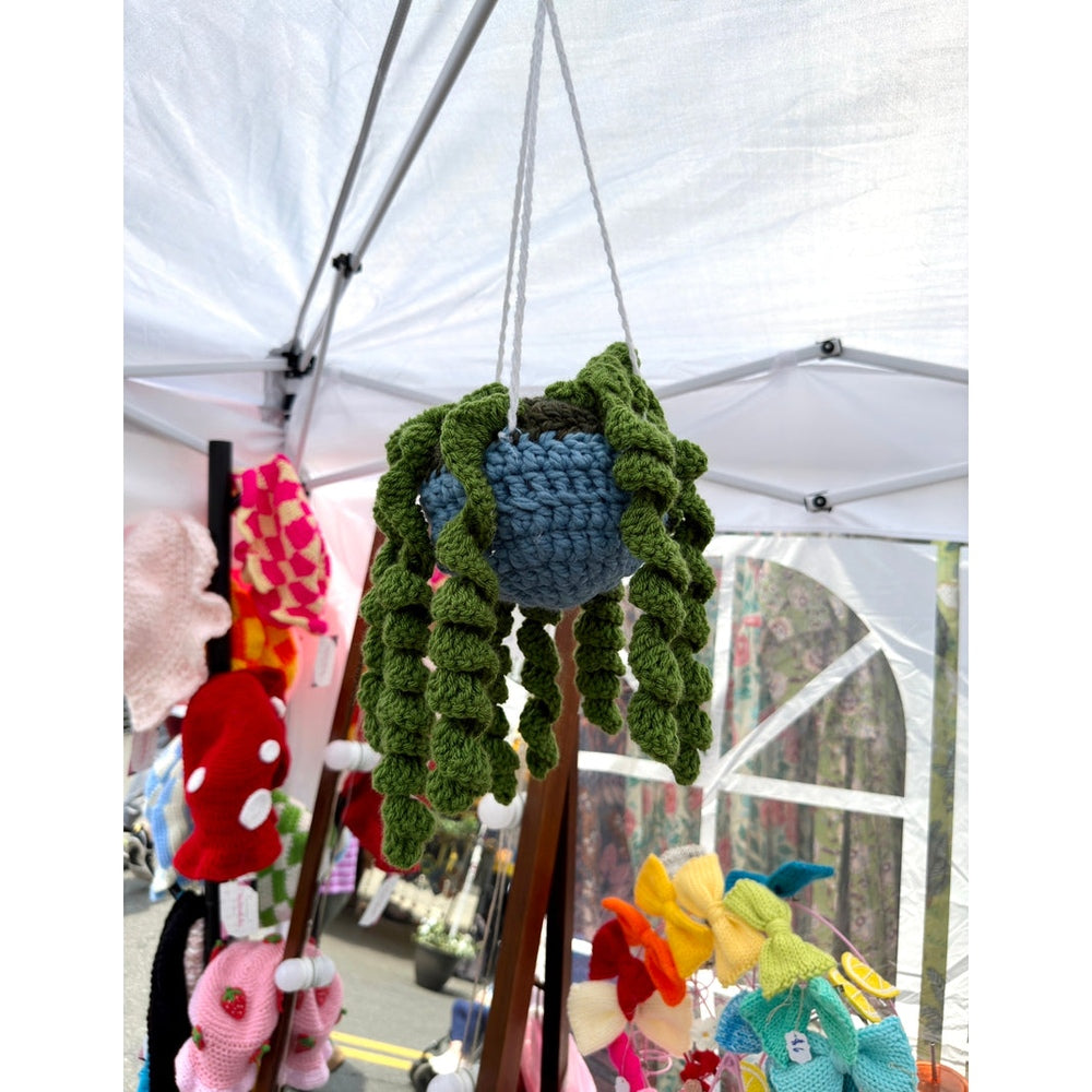 Hanging Curly Vine Plant nazimaknits