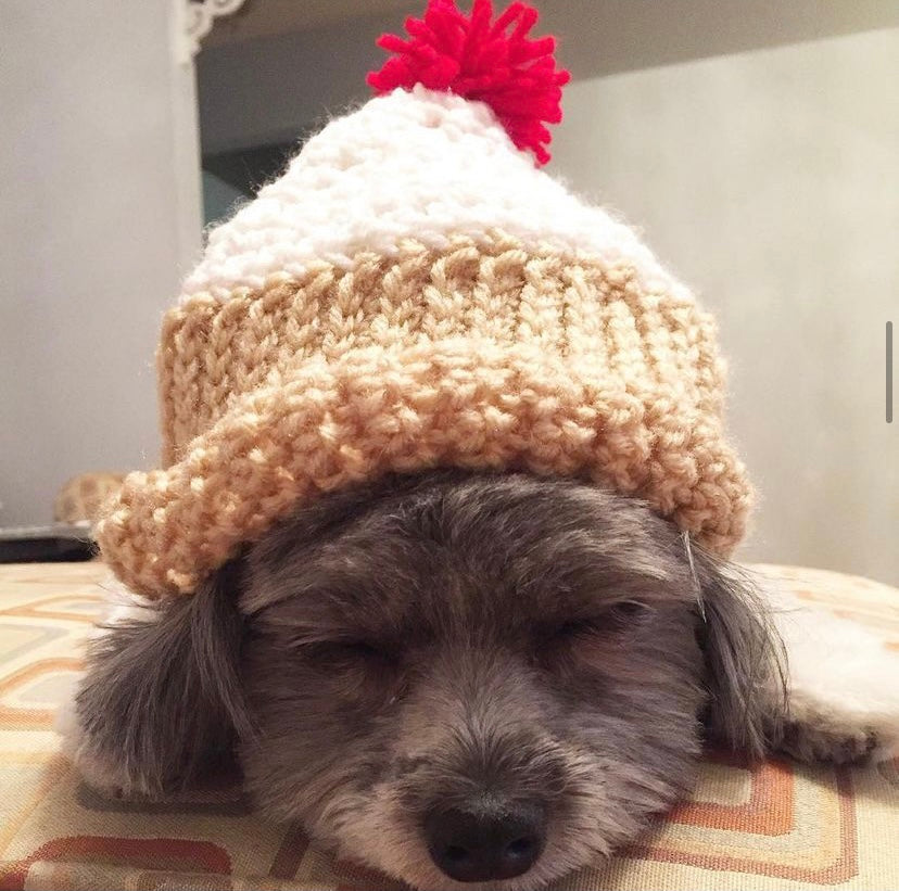 Pet Beanie