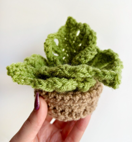 Crochet Monstera Plant Coaster set 🪴