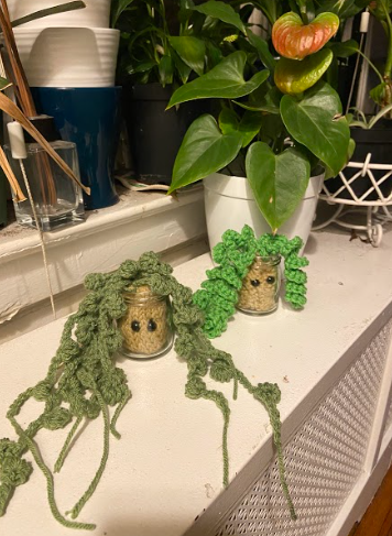Mini Desk House Plants 🪴