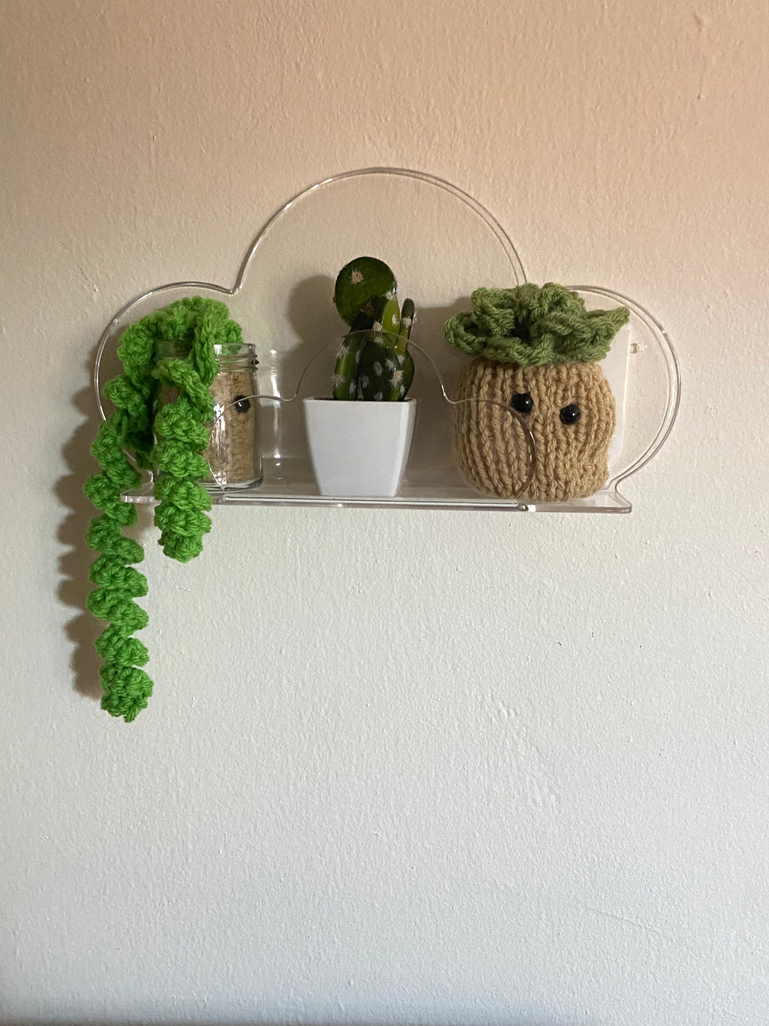 Mini Desk House Plants 🪴